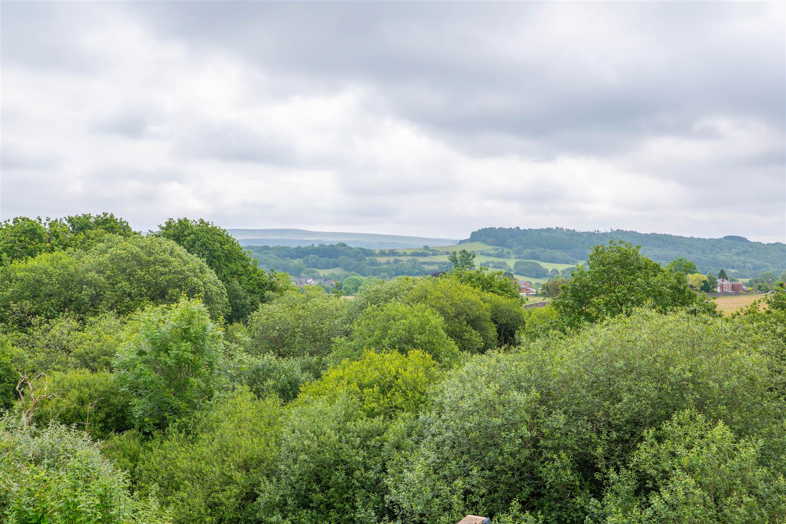 Merton Grove, Chorley